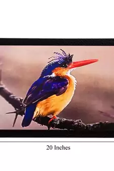 Beautiful Bird Matt Textured UV Art Painting