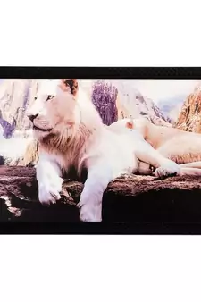 Sitting Lion Matt Textured UV Art Painting