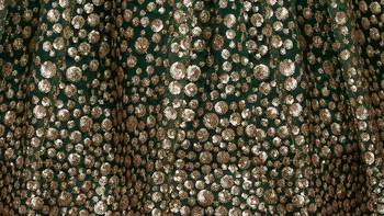 Green Net Embroidered Lehenga Choli 5
