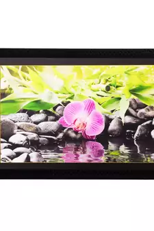 Flower Close View Matt Textured UV Art Painting