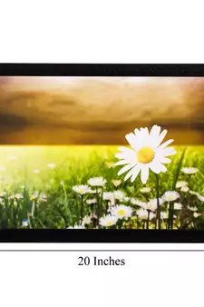 Garden View Matt Textured UV Art Painting