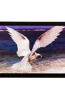 Flying Bird Matt Textured UV Art Painting