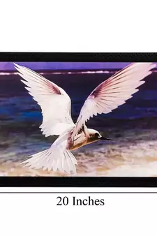 Flying Bird Matt Textured UV Art Painting