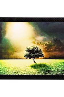Garden View in Sunlight Matt Textured UV Art Painting