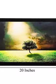 Garden View in Sunlight Matt Textured UV Art Painting