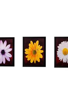 Set of 3 Floral Matt Textured UV Art Painting