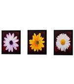 Set of 3 Floral Matt Textured UV Art Painting