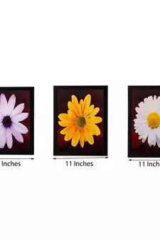 Set of 3 Floral Matt Textured UV Art Painting