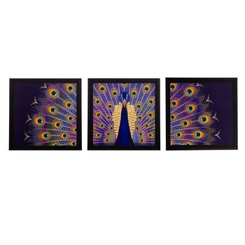 Set of 3 Peocock Feather Matt Textured UV Art Painting 1