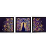 Set of 3 Peocock Feather Matt Textured UV Art Painting