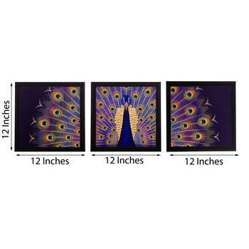 Set of 3 Peocock Feather Matt Textured UV Art Painting 3