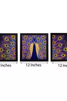 Set of 3 Peocock Feather Matt Textured UV Art Painting