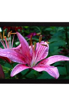 Pink Flower Satin Matt Texture UV Art Painting