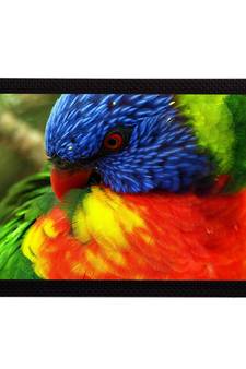 Bird Satin Matt Texture UV Art Painting