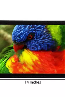 Bird Satin Matt Texture UV Art Painting