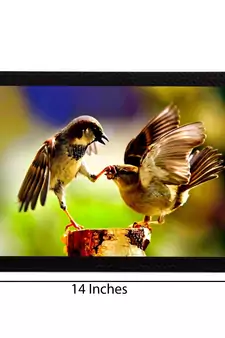 Playing Birds Satin Matt Texture UV Art Painting
