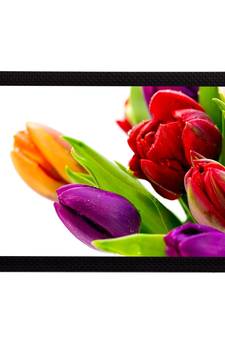 Colorful Flora Satin Matt Texture UV Art Painting