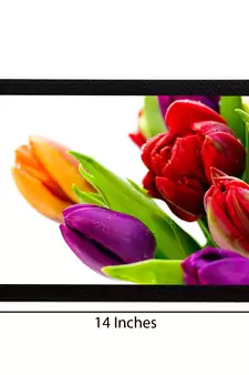 Colorful Flora Satin Matt Texture UV Art Painting