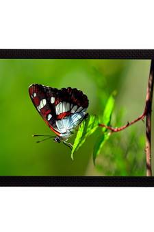 Butterfly Satin Matt Texture UV Art Painting
