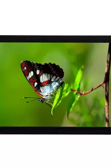 Butterfly Satin Matt Texture UV Art Painting