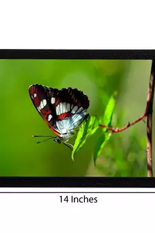 Butterfly Satin Matt Texture UV Art Painting