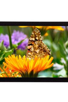 Butterfly On a Flower Satin Matt Texture UV Art Painting