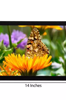 Butterfly On a Flower Satin Matt Texture UV Art Painting