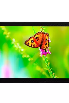 Orange Butterfly Satin Matt Texture UV Art Painting