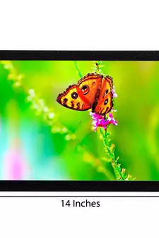 Orange Butterfly Satin Matt Texture UV Art Painting