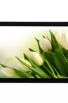 Beautiful White Flowers Satin Matt Texture UV Art Painting