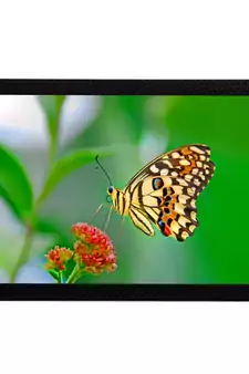 Flower & Butterfly Satin Matt Texture UV Art Painting