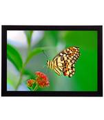 Flower & Butterfly Satin Matt Texture UV Art Painting