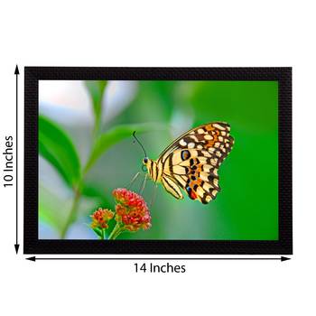 Flower & Butterfly Satin Matt Texture UV Art Painting 3
