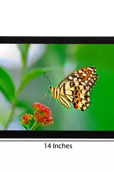 Flower & Butterfly Satin Matt Texture UV Art Painting