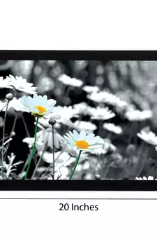 Black & White Floral Satin Matt Texture UV Art Painting