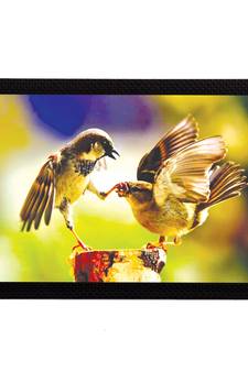 Playful Birds Satin Matt Texture UV Art Painting