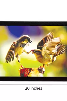 Playful Birds Satin Matt Texture UV Art Painting