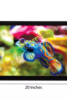 Fish Satin Matt Texture UV Art Painting