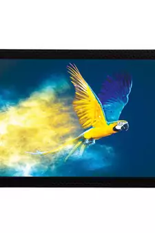 Flying Bird Satin Matt Texture UV Art Painting