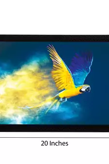 Flying Bird Satin Matt Texture UV Art Painting