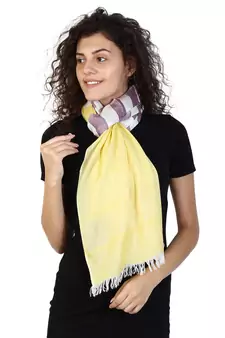Yellow & Cherry Cotton Striped Woven Design Stole