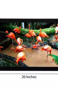 Flamingos Satin Matt Texture UV Art Painting