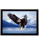 Eagle Satin Matt Texture UV Art Painting