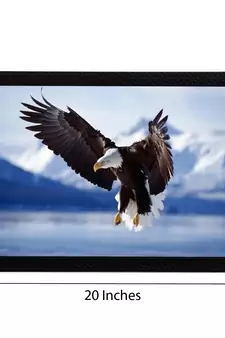 Eagle Satin Matt Texture UV Art Painting