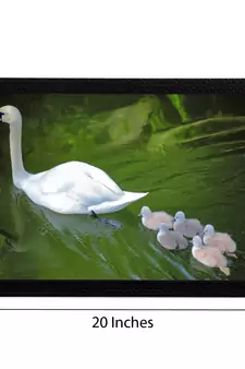 SwanWith Baby Satin Matt Texture UV Art Painting
