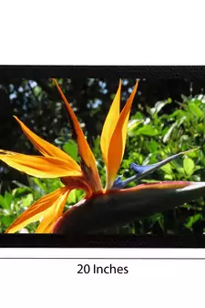 Yellow Flower Satin Matt Texture UV Art Painting