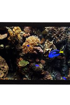 Sea Life Satin Matt Texture UV Art Painting