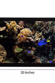 Sea Life Satin Matt Texture UV Art Painting