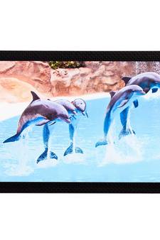 Dolphins Satin Matt Texture UV Art Painting