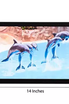 Dolphins Satin Matt Texture UV Art Painting